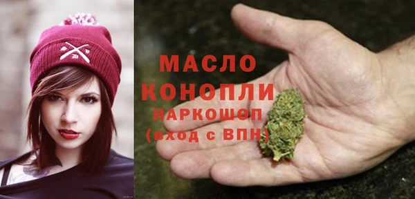 крисы Богородицк