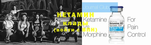 крисы Богородицк