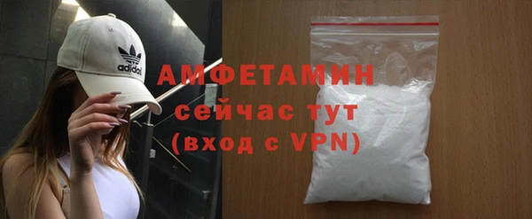 крисы Богородицк
