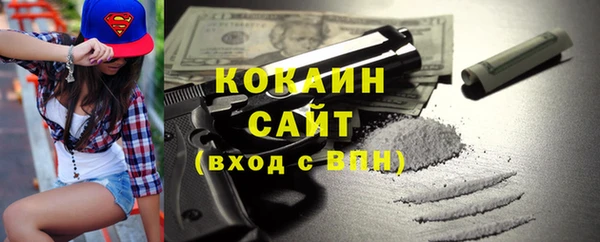 крисы Богородицк