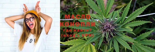 крисы Богородицк